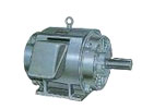 NEMA Premium ODP
