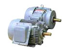 NEMA Premium TEFC