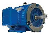 Pump motor